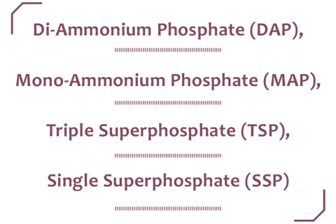 Phosphoric names